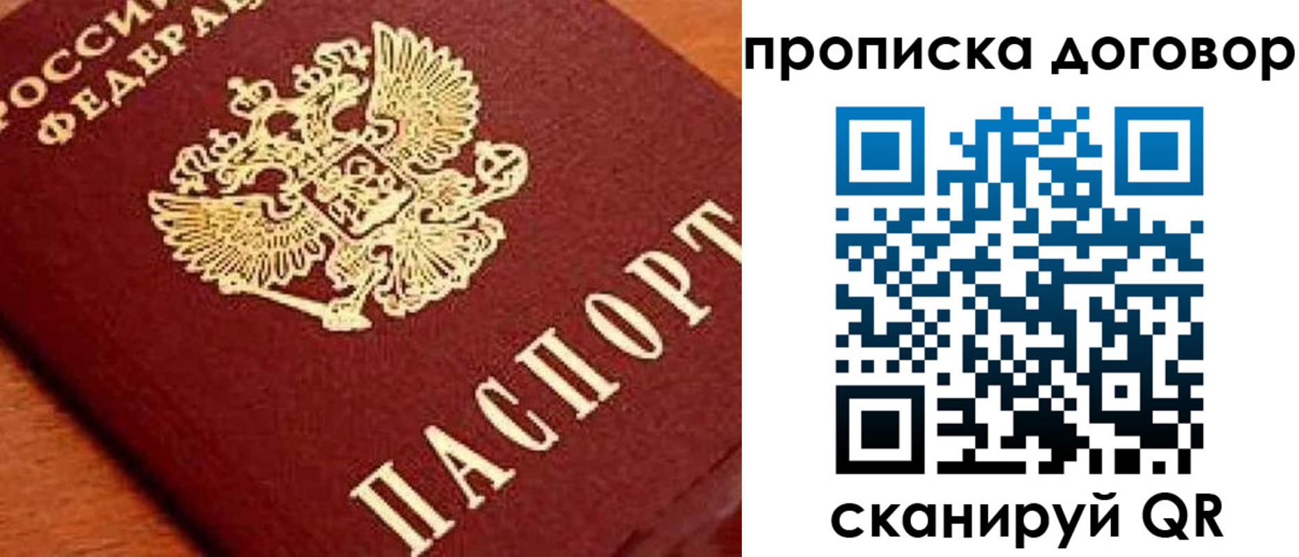 прописка поиск в Бородино